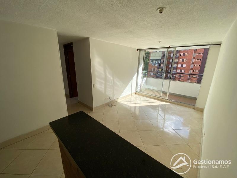 WhatsApp Image 2025-11-08 at 8.26.42 AM.jpeg